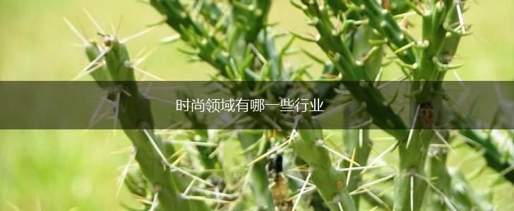 时尚领域有哪一些行业,第1张