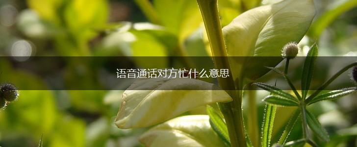 语音通话对方忙什么意思,第1张