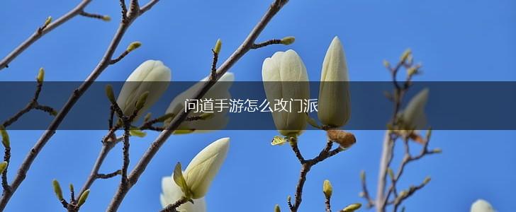问道手游怎么改门派,第1张