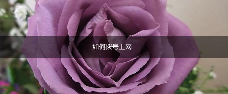 如何拨号上网,第1张