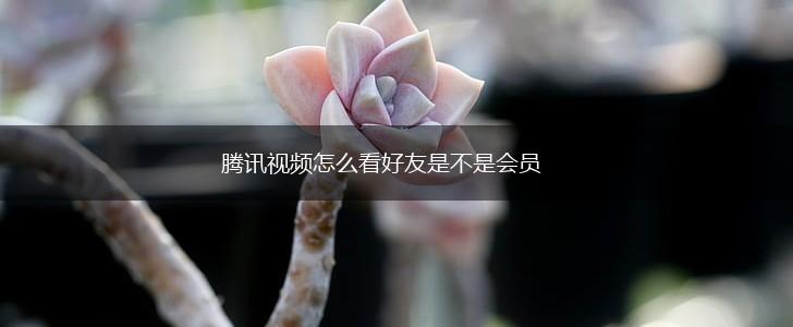 腾讯视频怎么看好友是不是会员,第1张