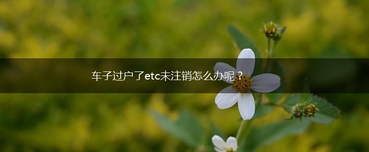 车子过户了etc未注销怎么办呢？,第1张