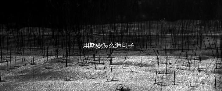 用期要怎么造句子,第1张