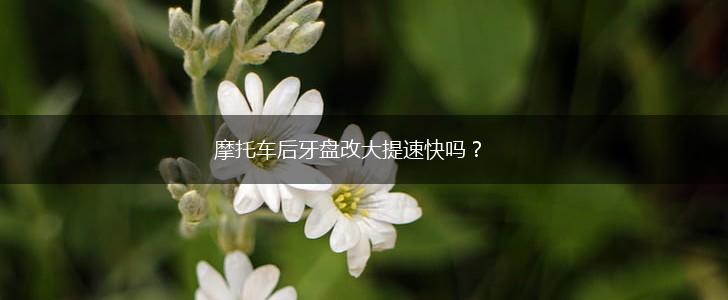 摩托车后牙盘改大提速快吗？,第1张