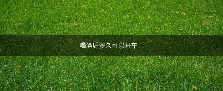 喝酒后多久可以开车,第1张