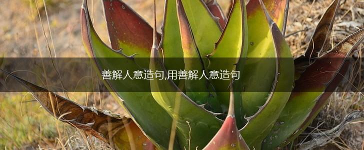 善解人意造句,用善解人意造句,第1张