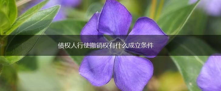 债权人行使撤销权有什么成立条件,第1张