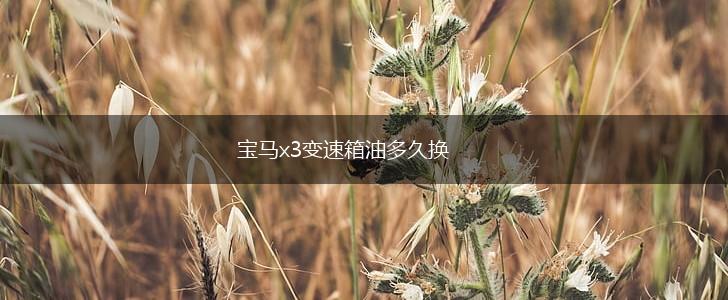 宝马x3变速箱油多久换,第1张