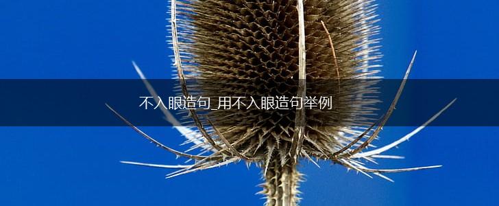 不入眼造句_用不入眼造句举例,第1张