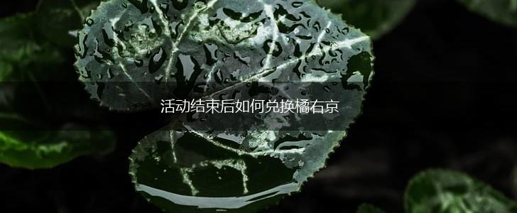 活动结束后如何兑换橘右京,第1张