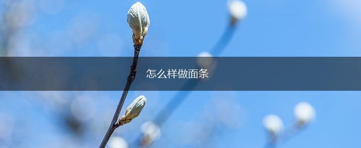 怎么样做面条,第1张