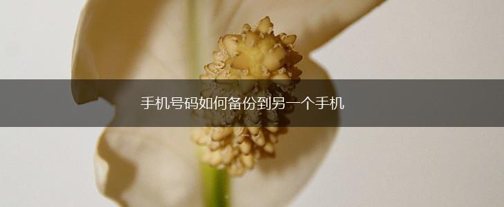 手机号码如何备份到另一个手机,第1张