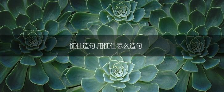 怔住造句,用怔住怎么造句,第1张