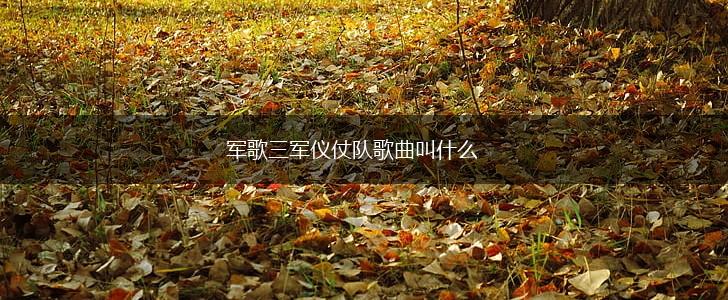 军歌三军仪仗队歌曲叫什么,第1张