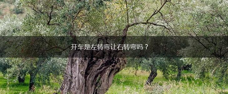 开车是左转弯让右转弯吗？,第1张