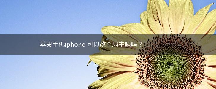 苹果手机iphone 可以改全局主题吗？,第1张