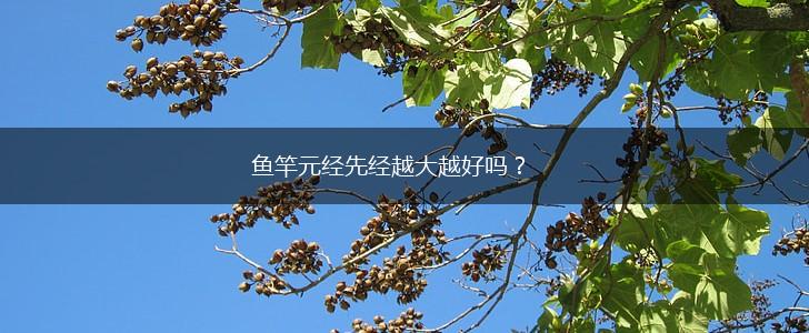 鱼竿元经先经越大越好吗?,第1张 鱼竿元经先经越大越好吗?,第1张