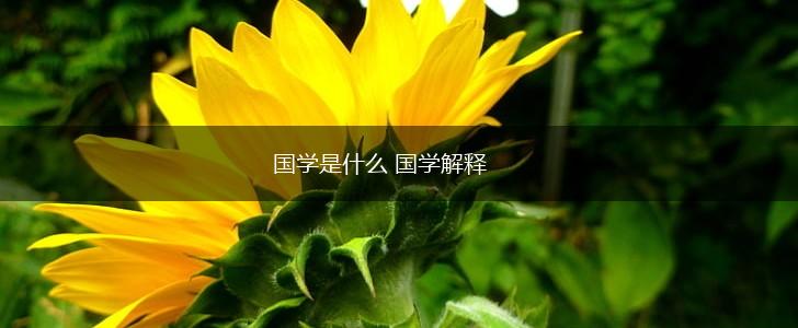 国学是什么 国学解释,第1张