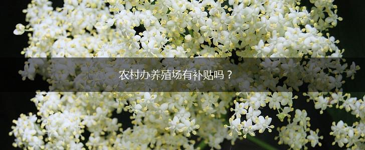 农村办养殖场有补贴吗？,第1张