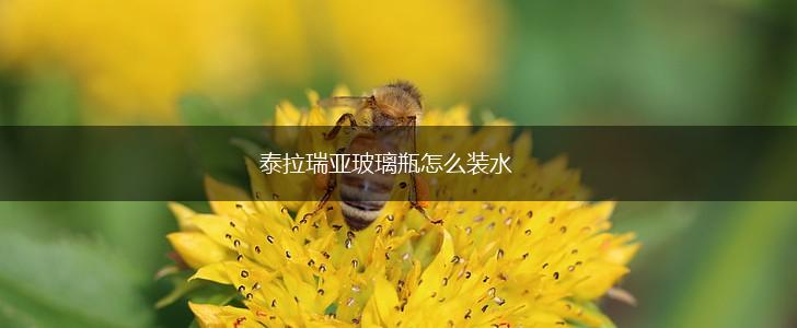 泰拉瑞亚玻璃瓶怎么装水,第1张
