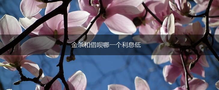 金条和借呗哪一个利息低,第1张