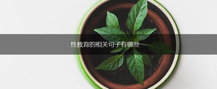 性教育的相关句子有哪些,第1张