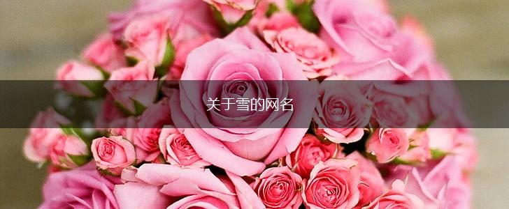 关于雪的网名,第1张