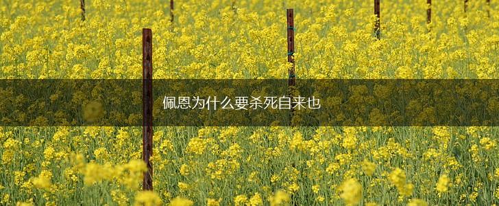 佩恩为什么要杀死自来也,第1张