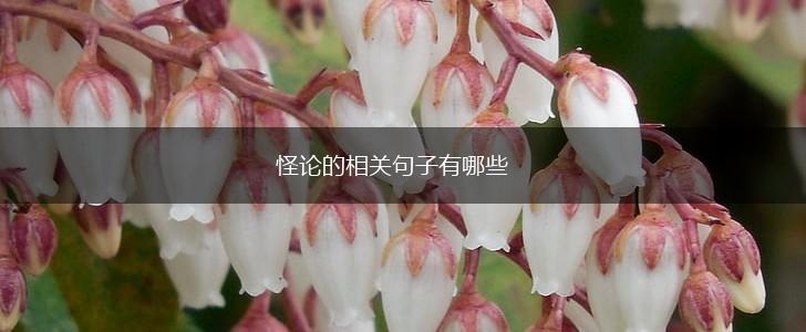 怪论的相关句子有哪些,第1张
