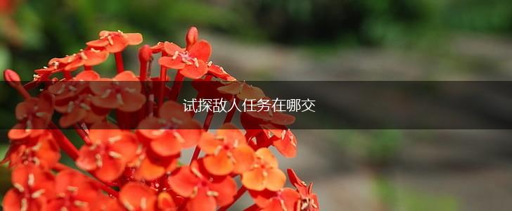 试探敌人任务在哪交,第1张