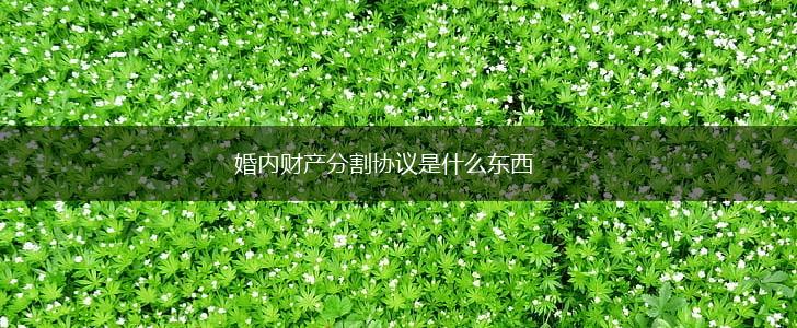 婚内财产分割协议是什么东西,第1张 婚内财产分割协议是什么东西,第1张