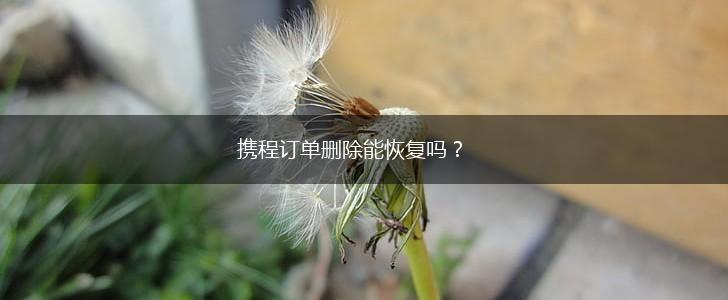 携程订单删除能恢复吗？,第1张