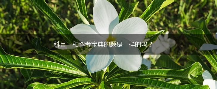 科目一和驾考宝典的题是一样的吗？,第1张