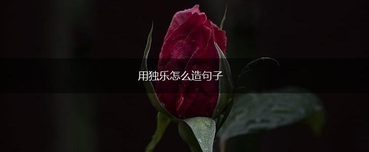 用独乐怎么造句子,第1张