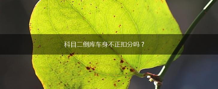 科目二倒库车身不正扣分吗？,第1张