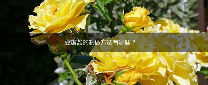 豆瓣酱的制做方法有哪些？,第1张
