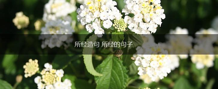 所经造句 所经的句子,第1张