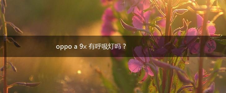 oppo a 9x 有呼吸灯吗？,第1张