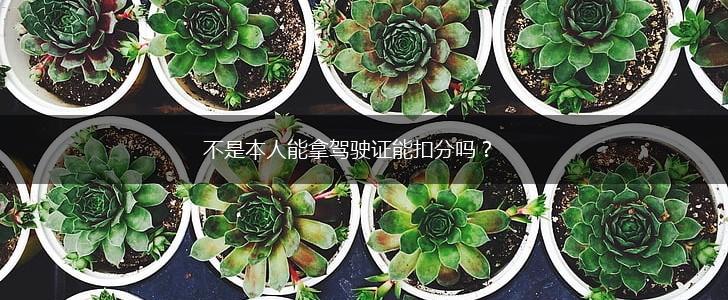 不是本人能拿驾驶证能扣分吗？,第1张