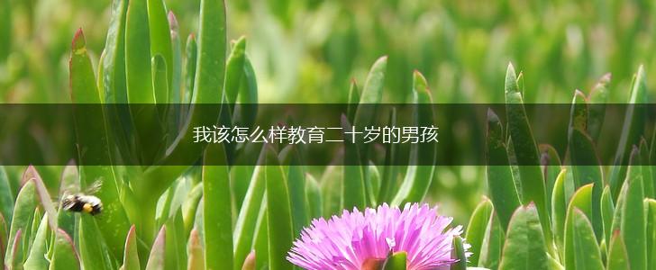 我该怎么样教育二十岁的男孩,第1张