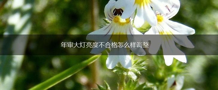 年审大灯亮度不合格怎么样调整,第1张