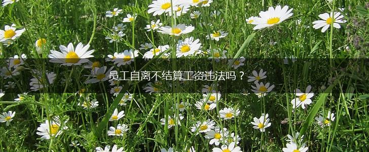 员工自离不结算工资违法吗？,第1张