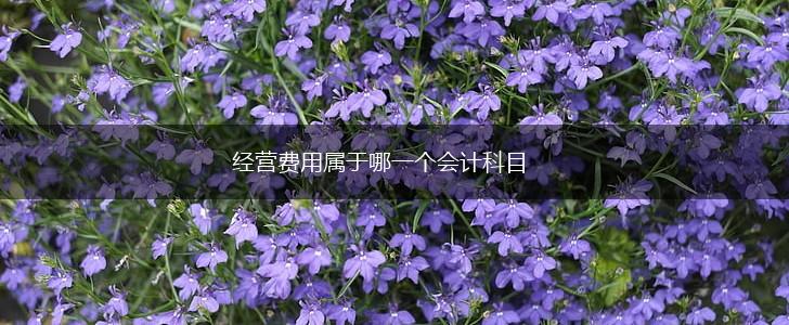 经营费用属于哪一个会计科目,第1张