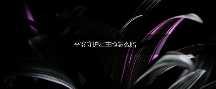 平安守护星主险怎么赔,第1张