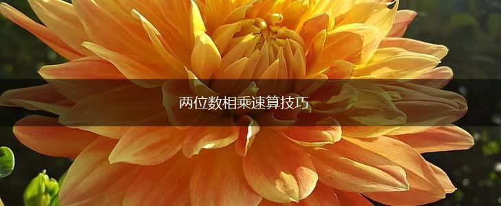 两位数相乘速算技巧,第1张