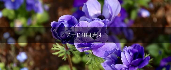 关于长江的诗词,第1张