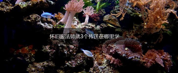 怀旧服法师就3个传送在哪里学,第1张