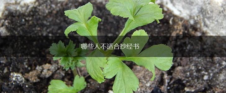 哪些人不适合抄经书,第1张