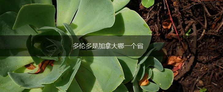 多伦多是加拿大哪一个省,第1张
