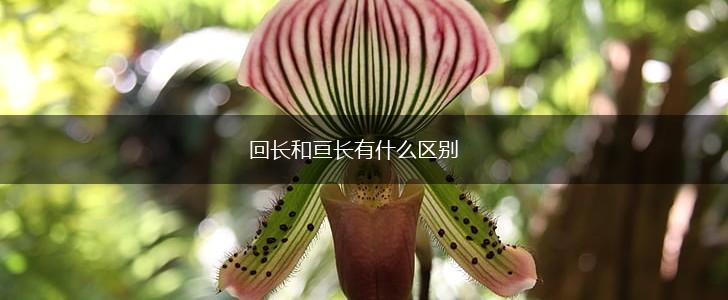 回长和亘长有什么区别,第1张
